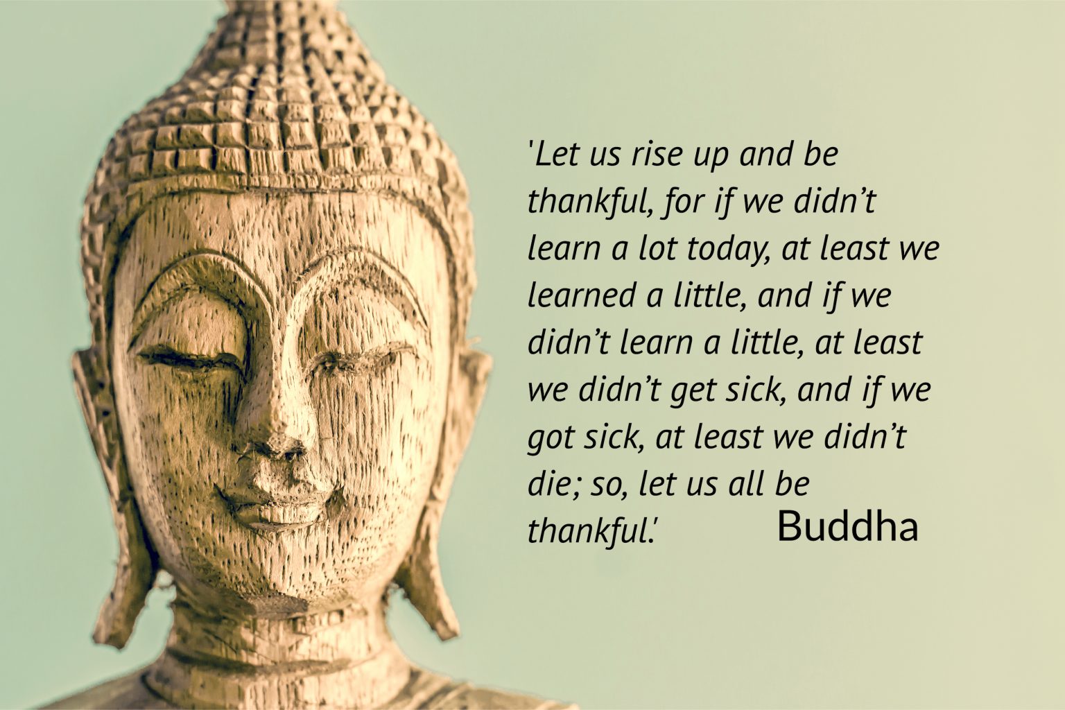 Gratitude Buddha Quote SS 110620 - Reiki Jane